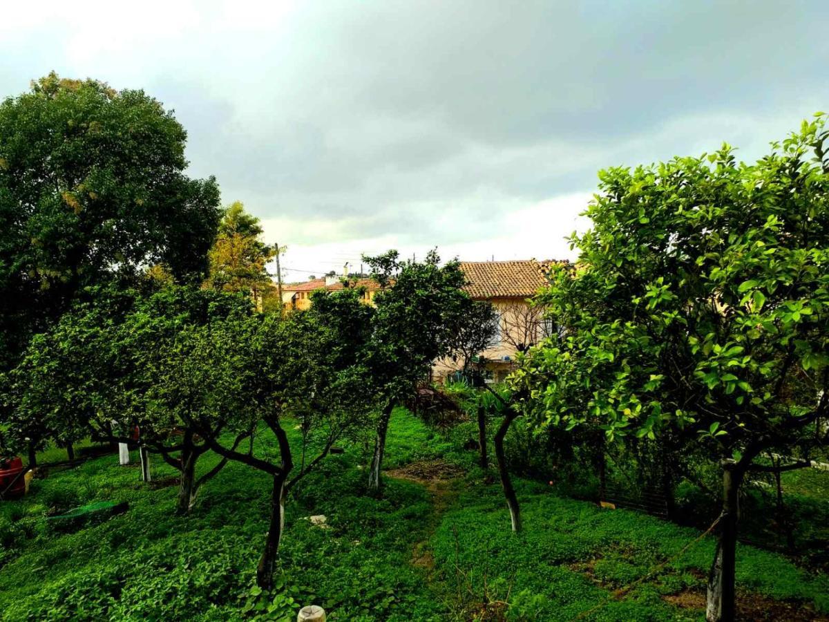 Villa Rosa Garden House Corfu  Екстер'єр фото